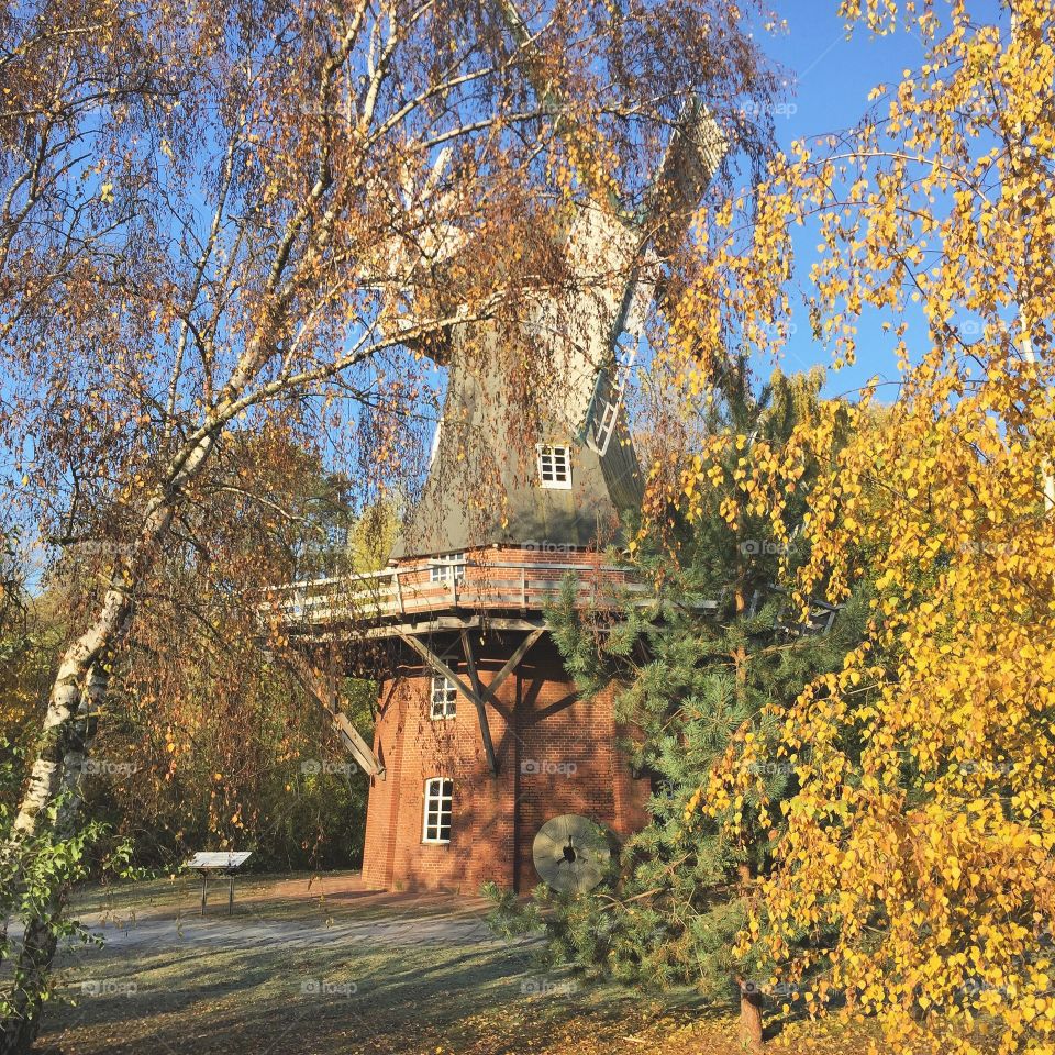 Autumn windmill