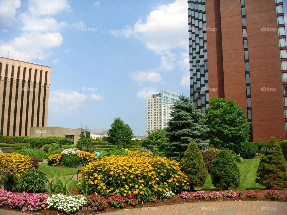 Garden blooming in Boston with skyscrapers around. Garden on rooftop of parking garage.