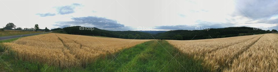 Landscape, Field, No Person, Agriculture, Grass