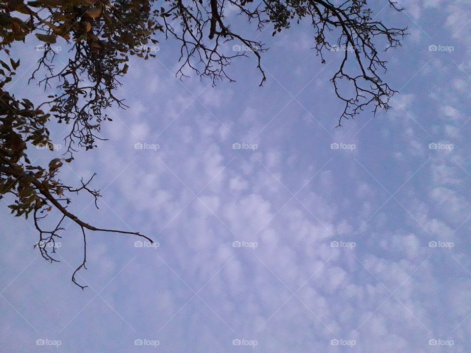 interesting, isn't it?😁☁️