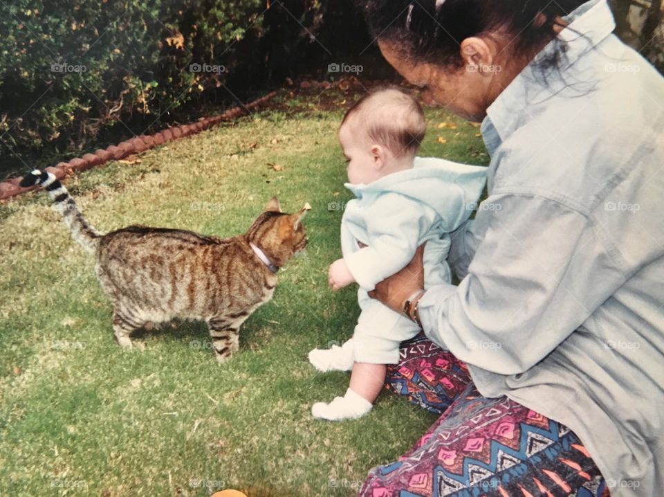 A 19 year old photo. Grandmother with granddaughter, looking at the family cat. A brown female tabby. 