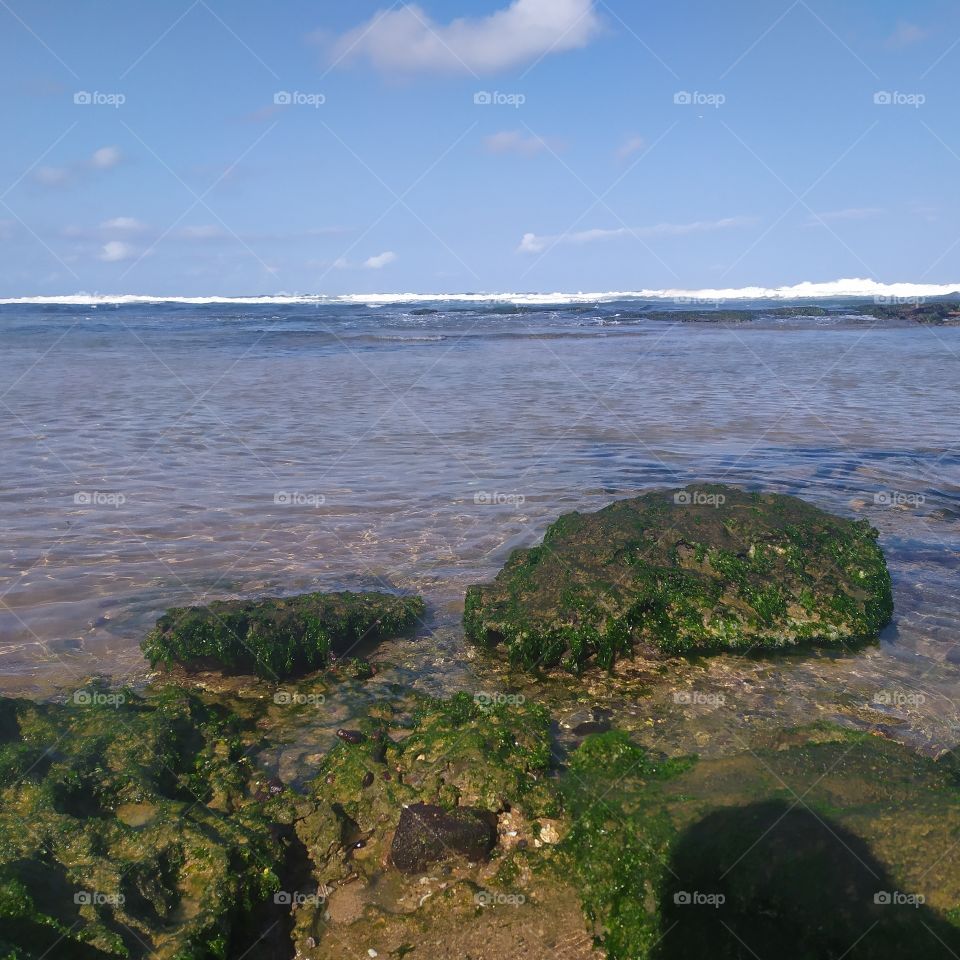 IpitANGA beach natural pools