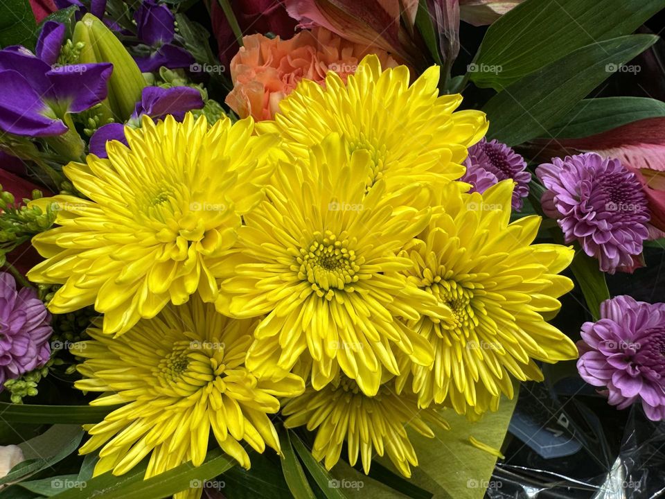 Vivid yellow floral bouquet.