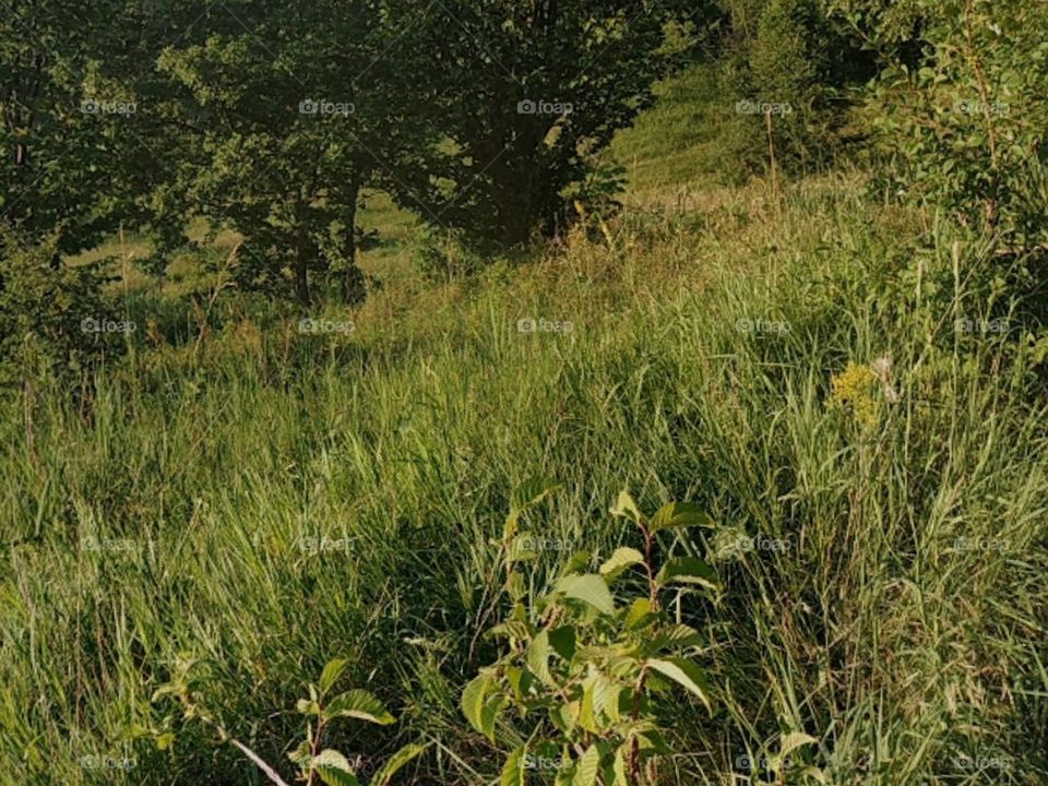 Україна вражає