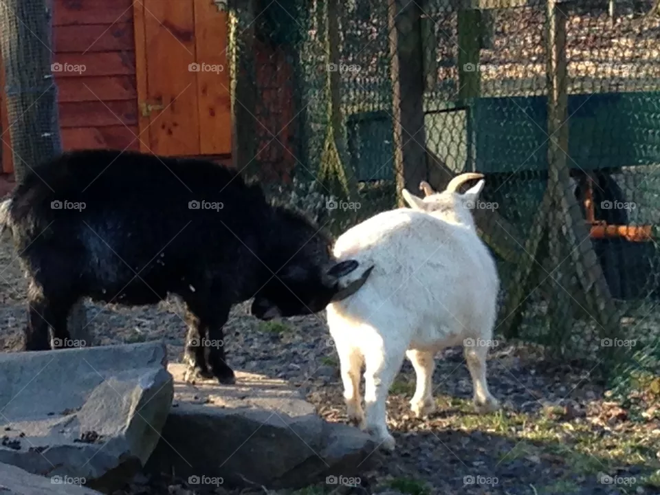 I scratch your back, you scratch mine. Got it?