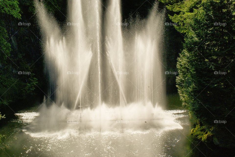 Fountain on lake