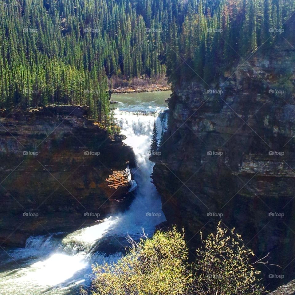 Chef Sikhanni Cliffs