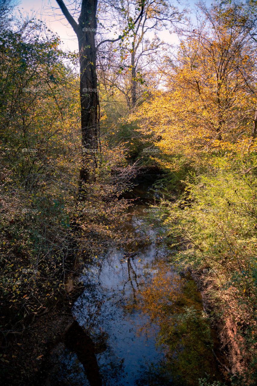 Fall in Canton Georgia