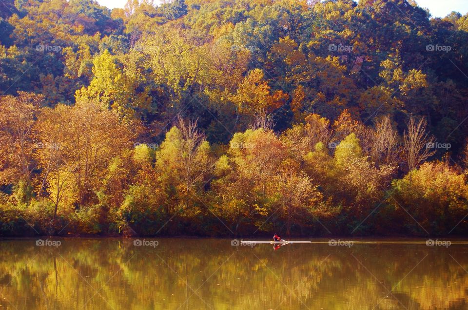 Rowing on the River