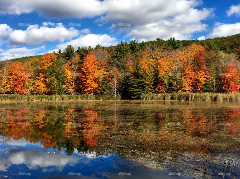 Fall Reflections