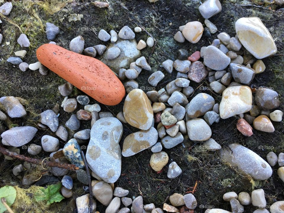 Orange pebble on shore tranquility nature zen photography 