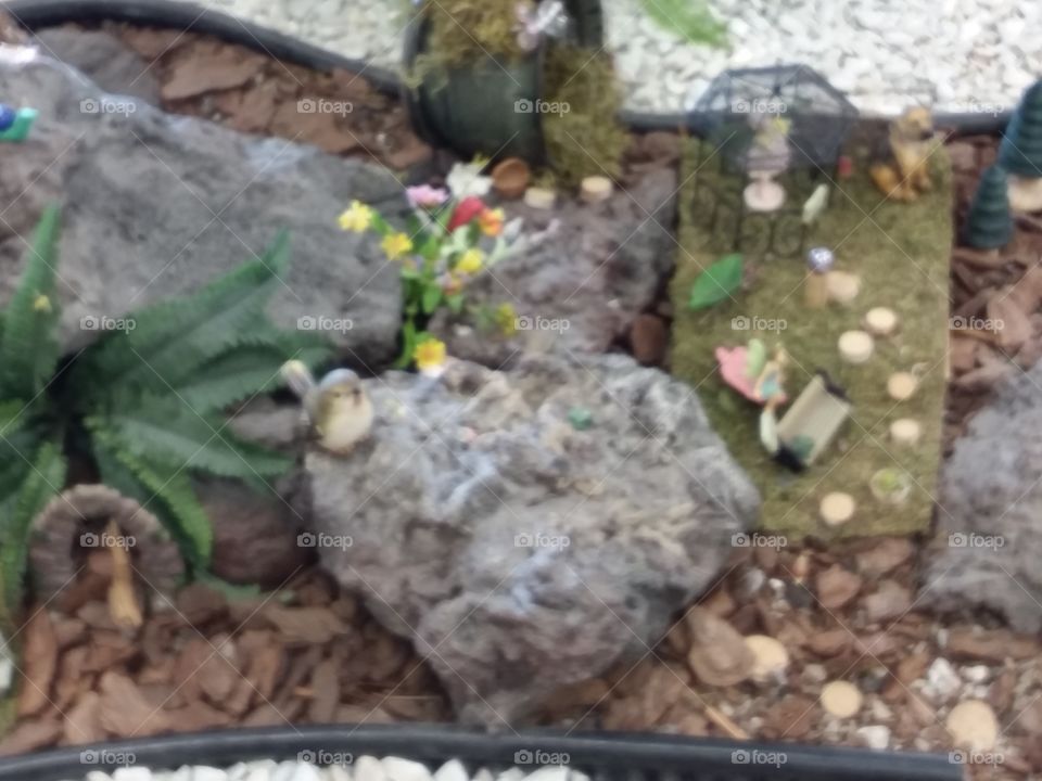 The fairy and gnome garden at the drs office.