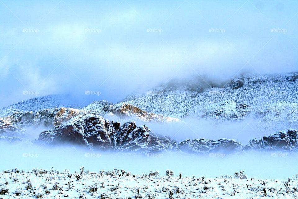Snowy land during winter