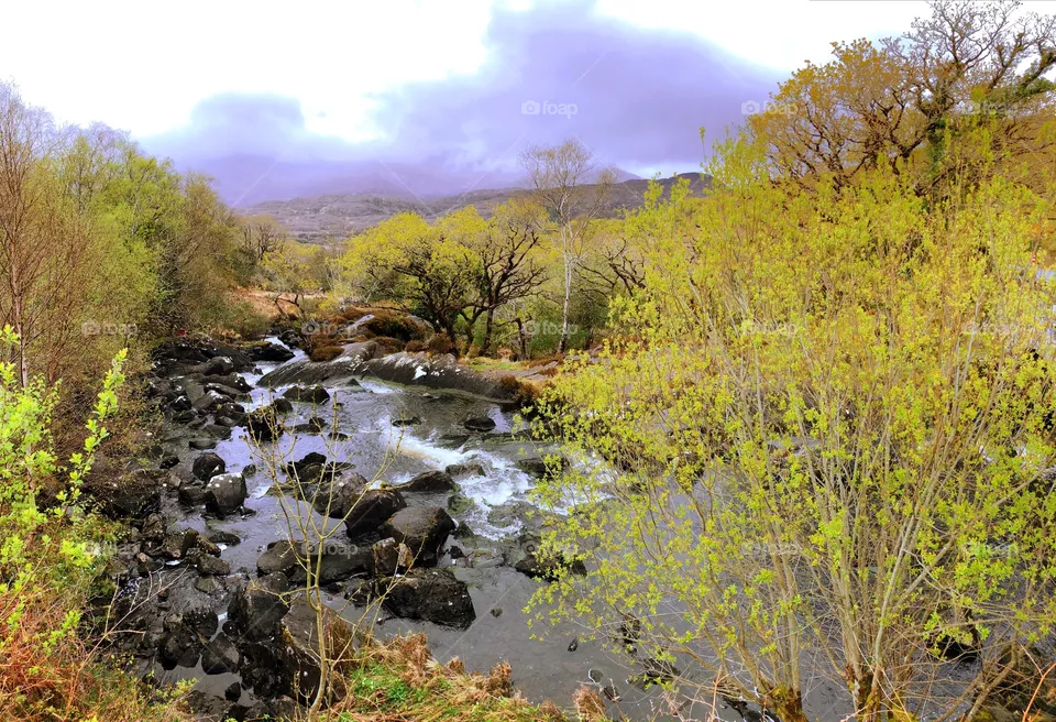 Ireland 