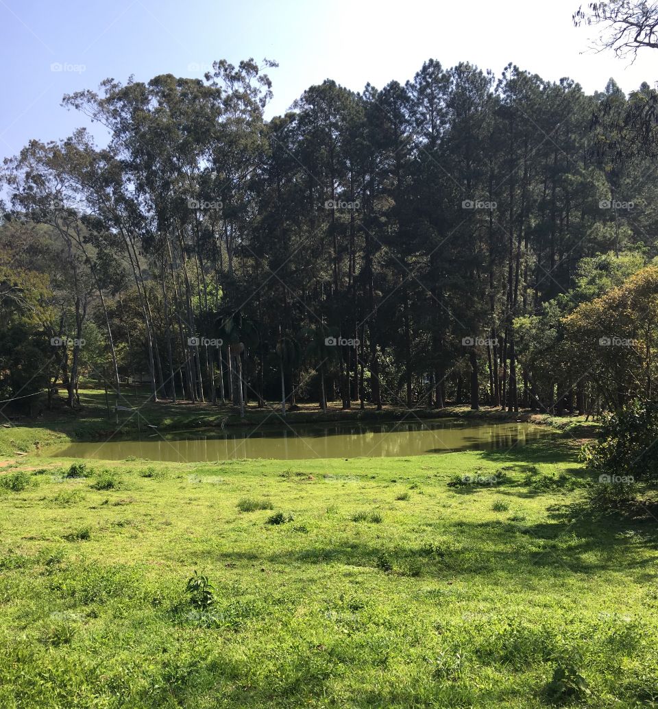 A inspiração do verde do mato com a beleza do azul do céu. Estão vendo o lago ao fundo?