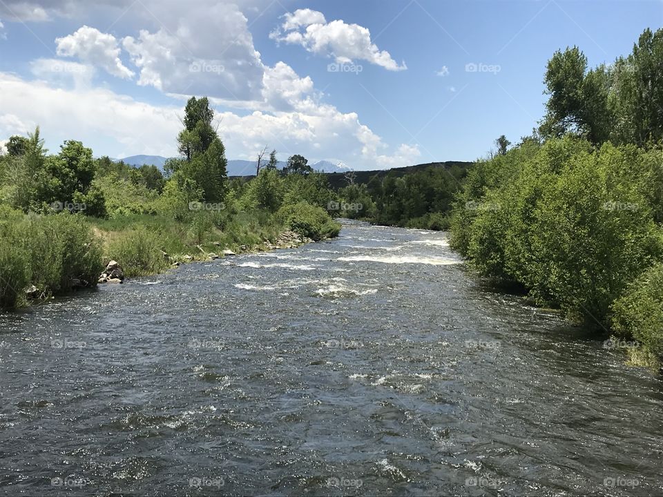 River on a summer day