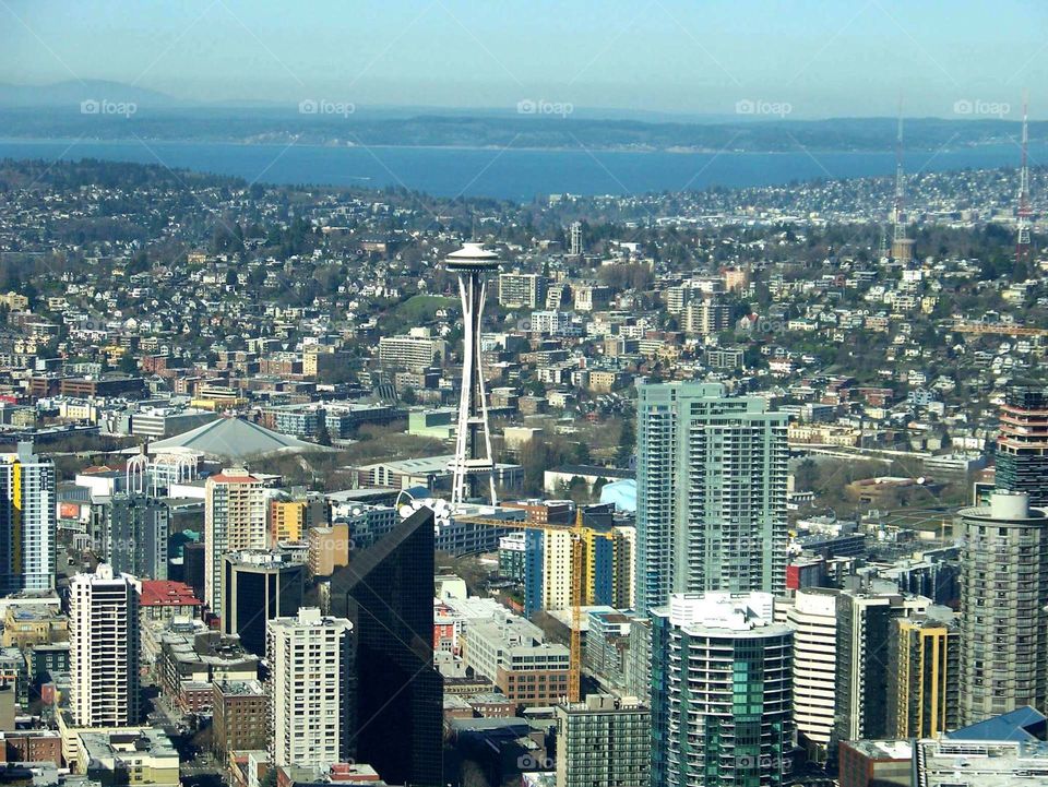 seattle from above
