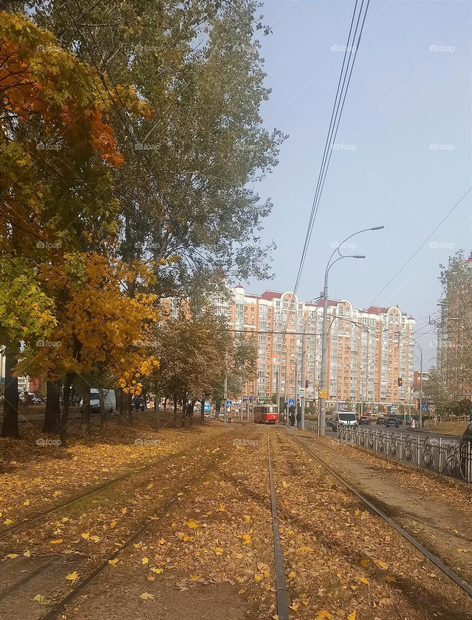 Fall Wins! (Bonus Exclusive Mission)