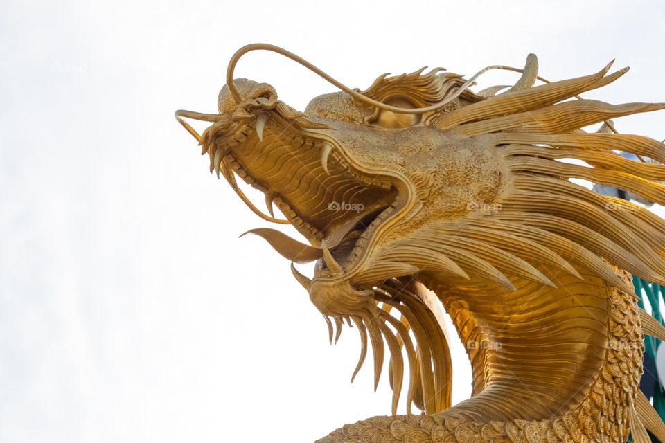 Amazing golden dragon statue 