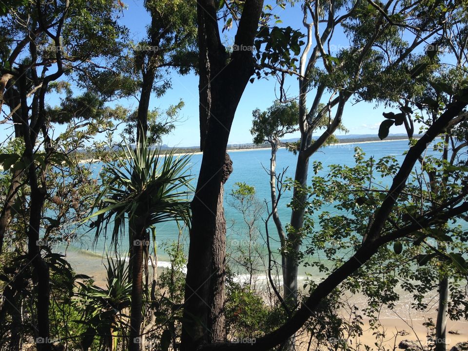 Sea between the trees 