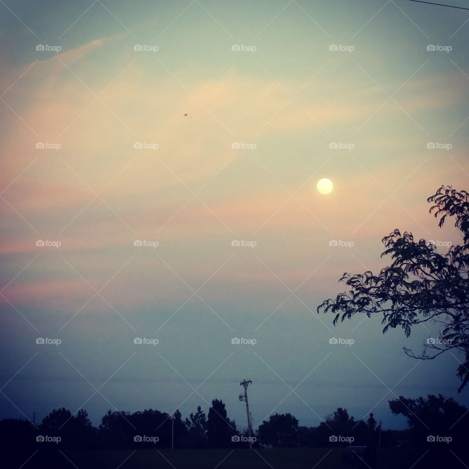 Full Moon. Nice evening view