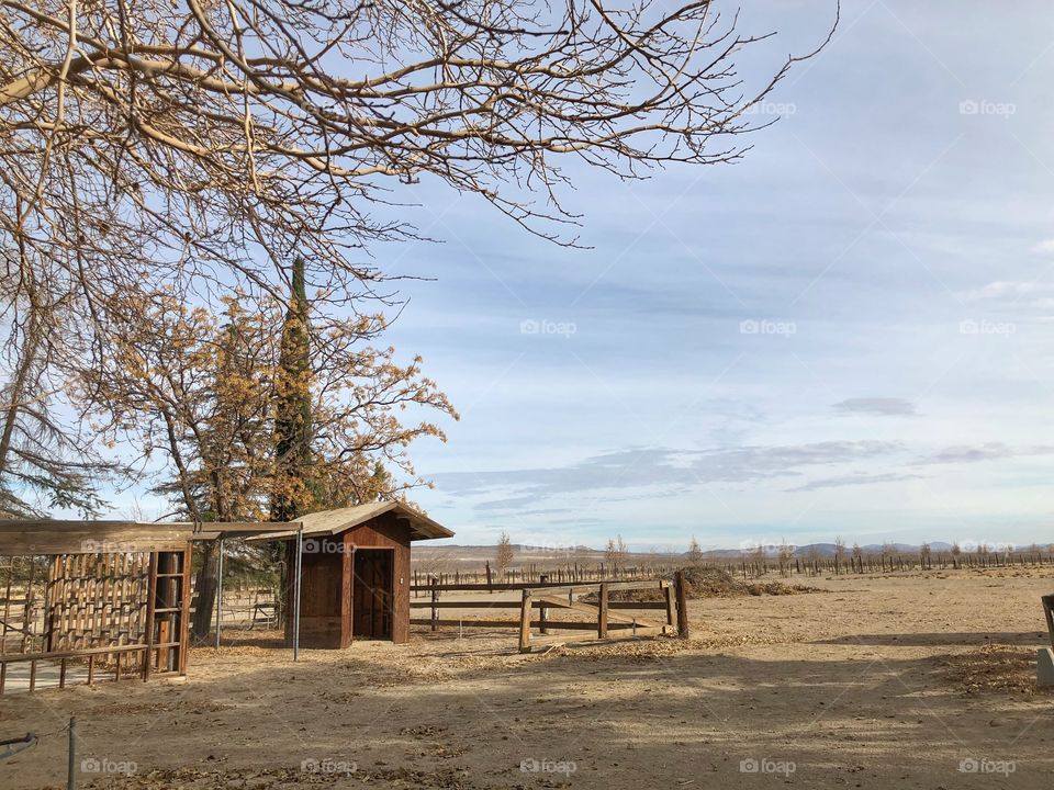 Shed in a field during winter
