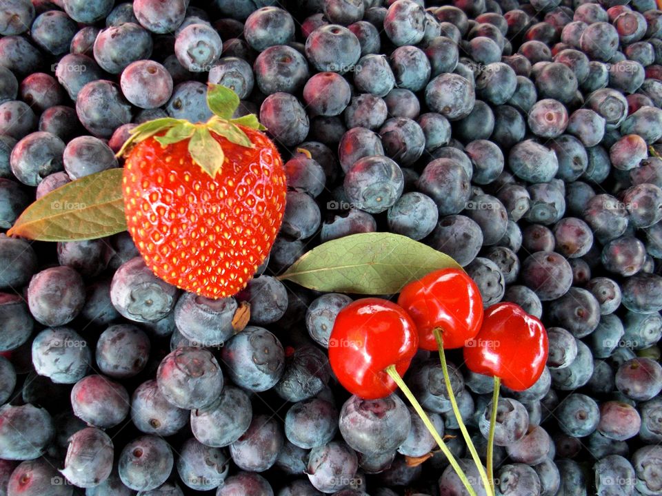 red and blue fruits