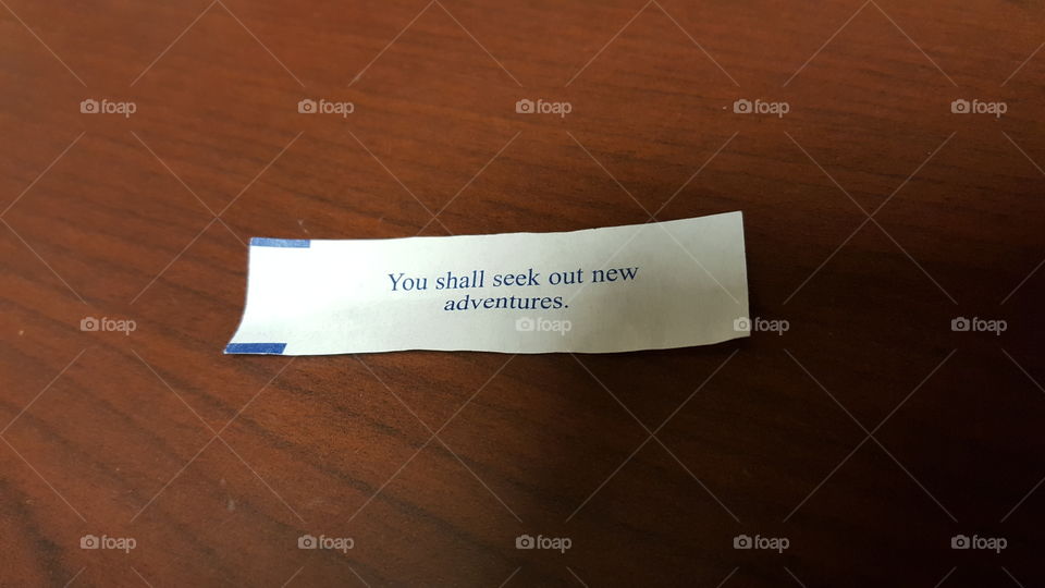 You Shall Seek Out New Adventures