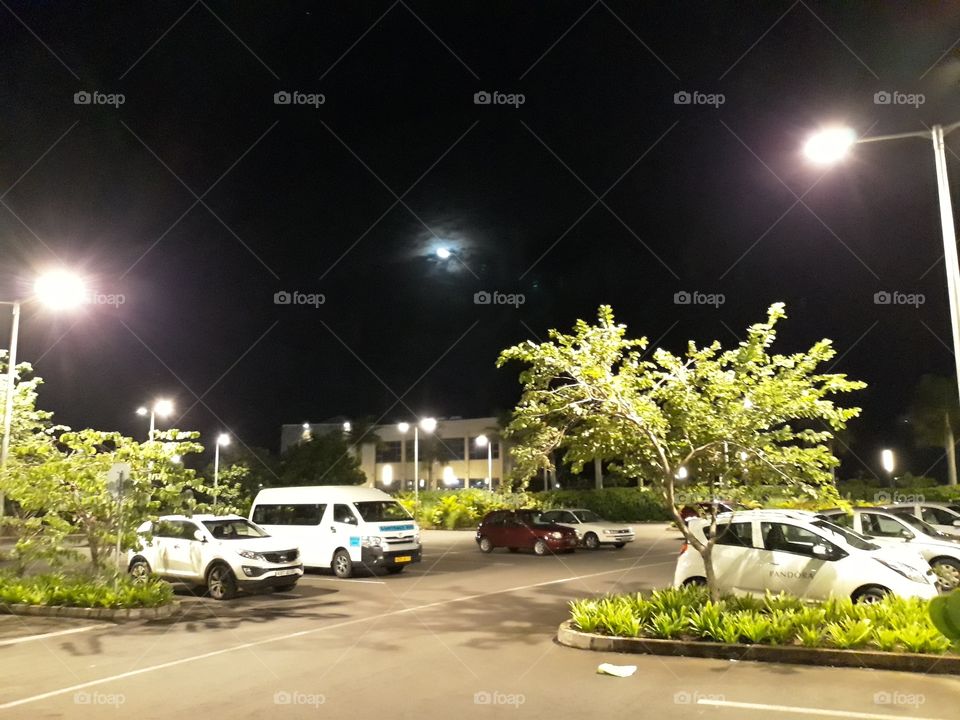 Parking Space at Night Time decorated with Green Plants and Trees. The Moon far away in the middle of the Dark Sky.