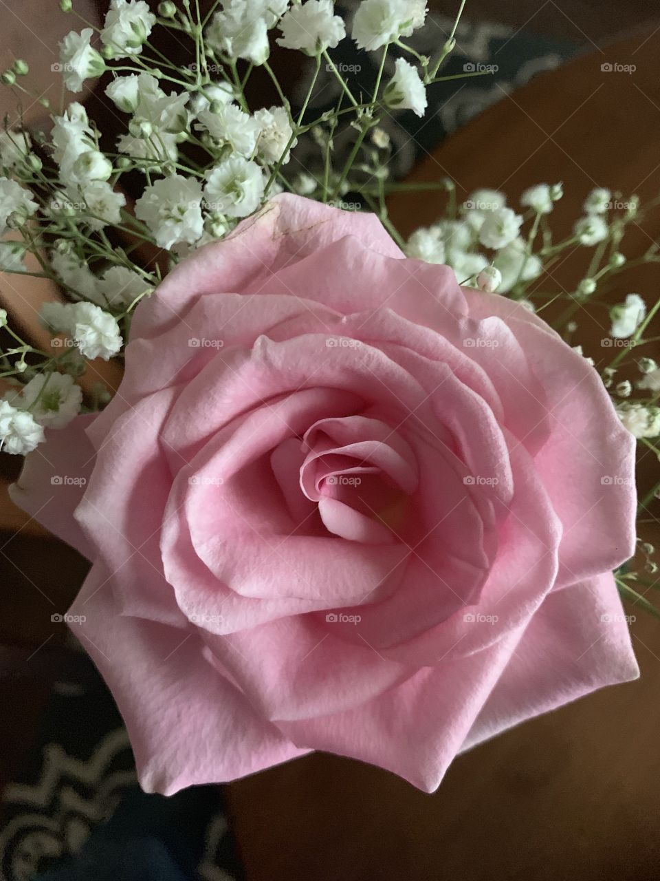 Pink rose baby breath flower floral