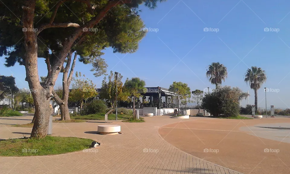 park
