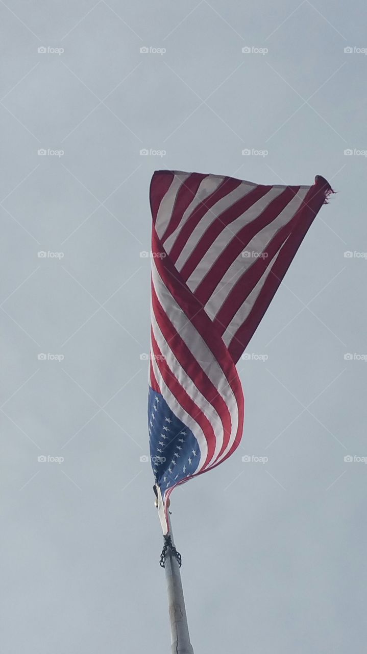 Flag in the Wind