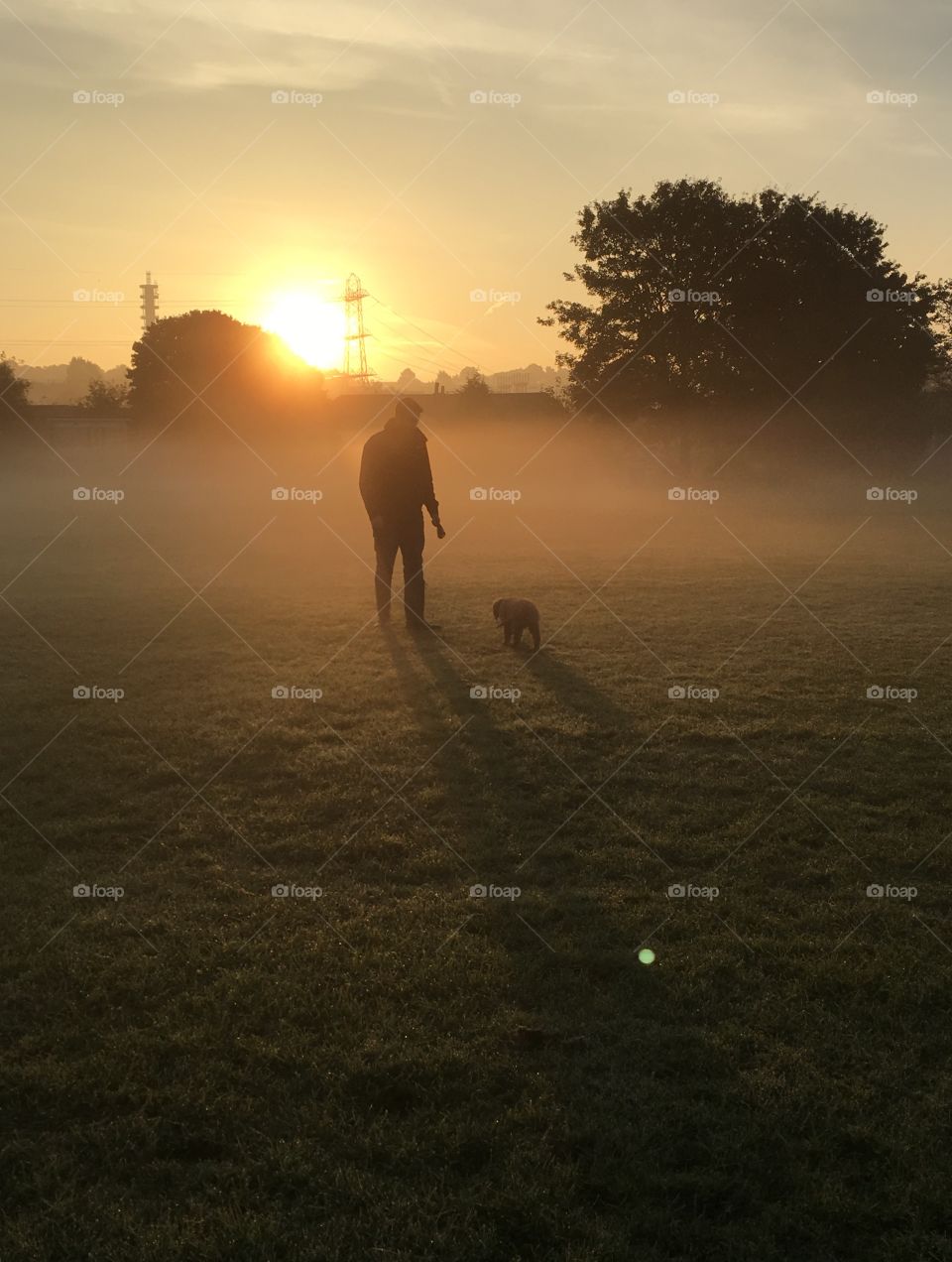 Misty walk