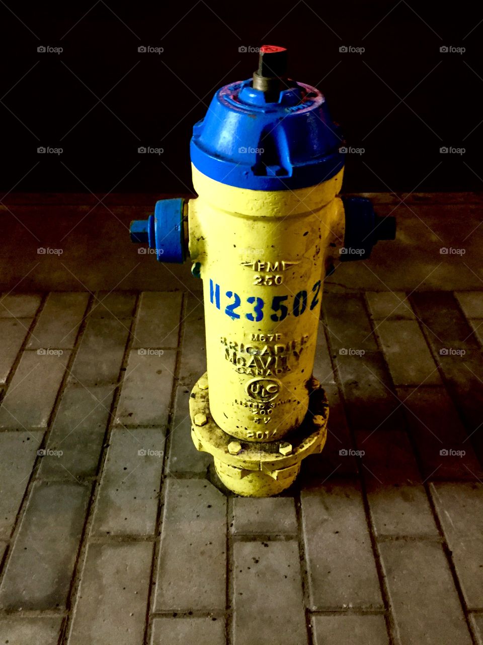 Yellow fire hydrant 
