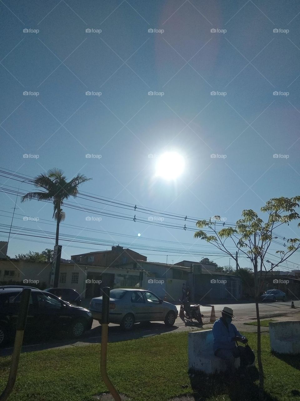 Editors'Choice Photo of the week