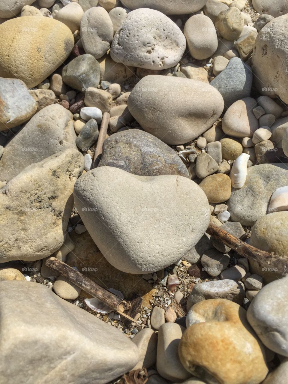 Finding heart in everything 