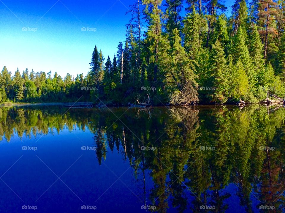 Symmetry in lake