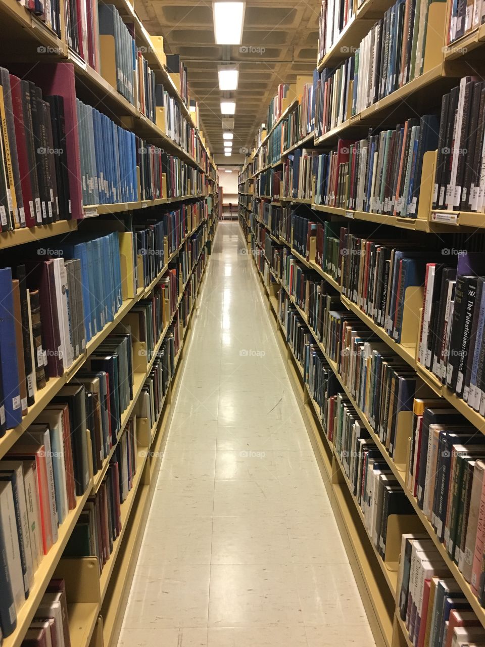 Empty library 