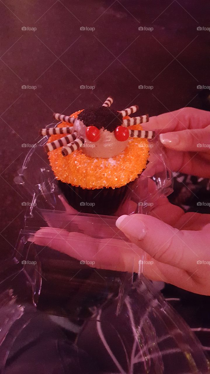 spider cup cakes for Halloween