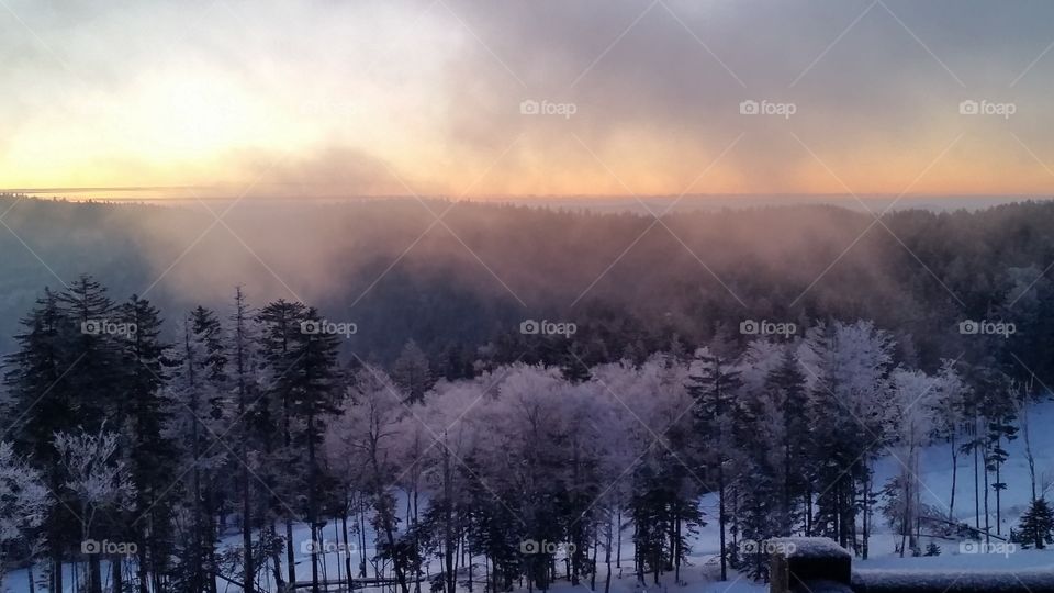 Misty Mountain Morning. Sub zero morning on top of Snowshoe Mountain in the hills of West Virginia.