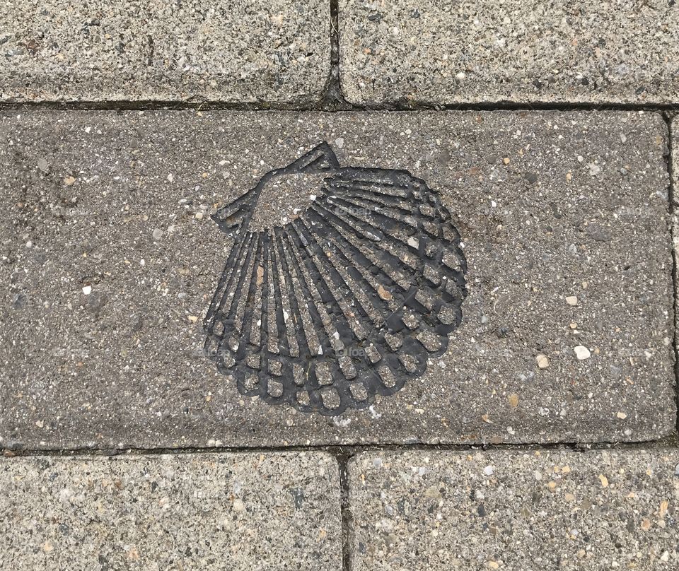 River Walkway Texture Shell