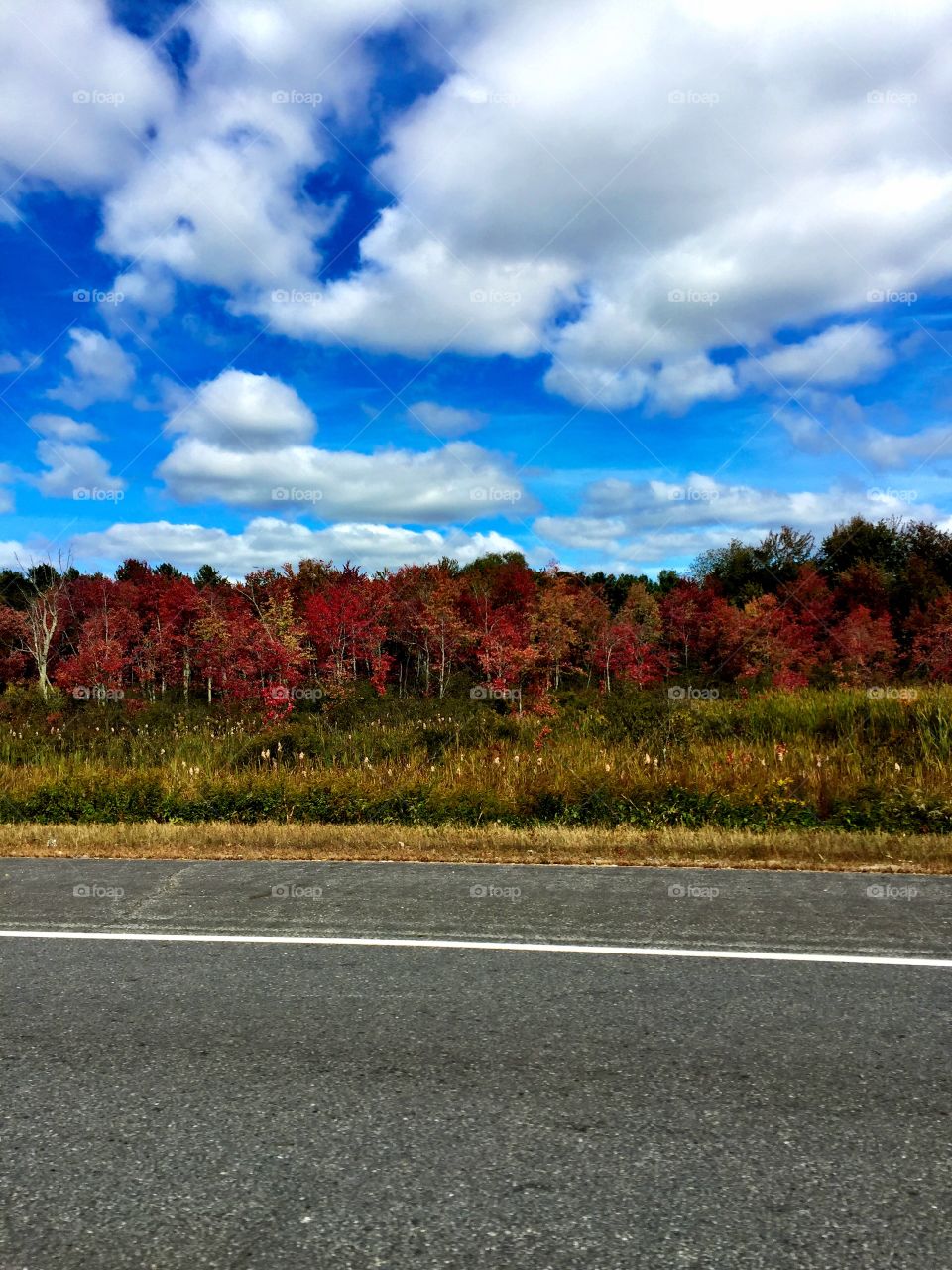 Fall in New England