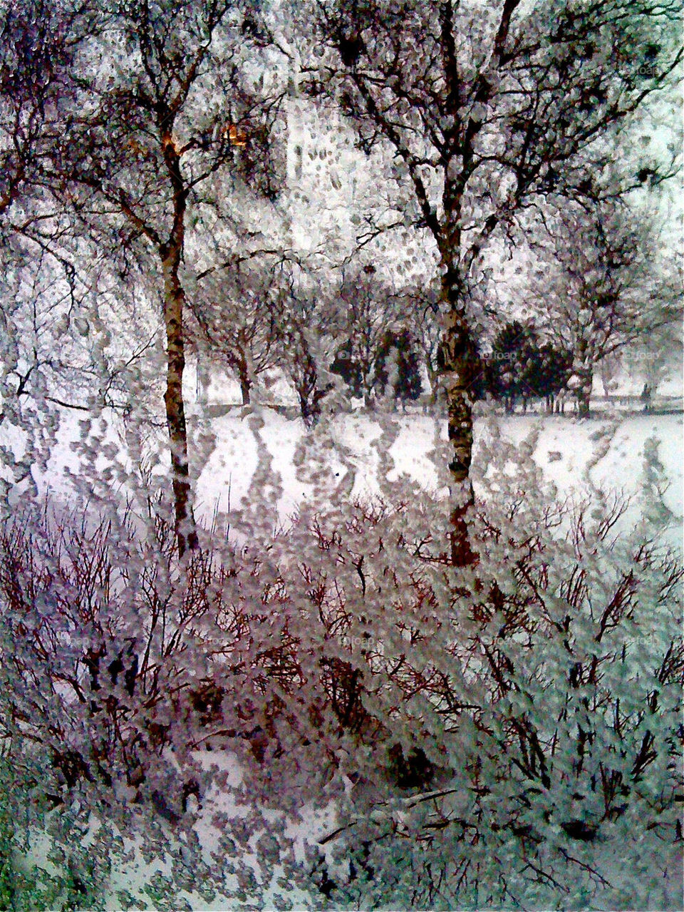 snow winter sweden trees by ylvafloreman