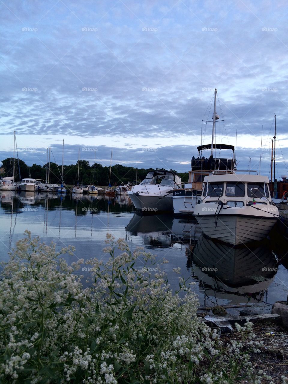 Marina Vordingborg Denmark