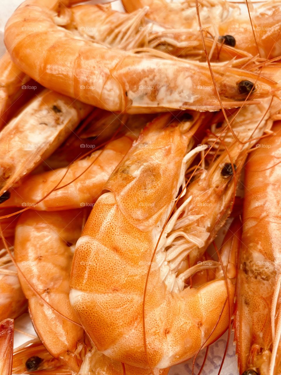 Close-up of a plate of pink shrimp