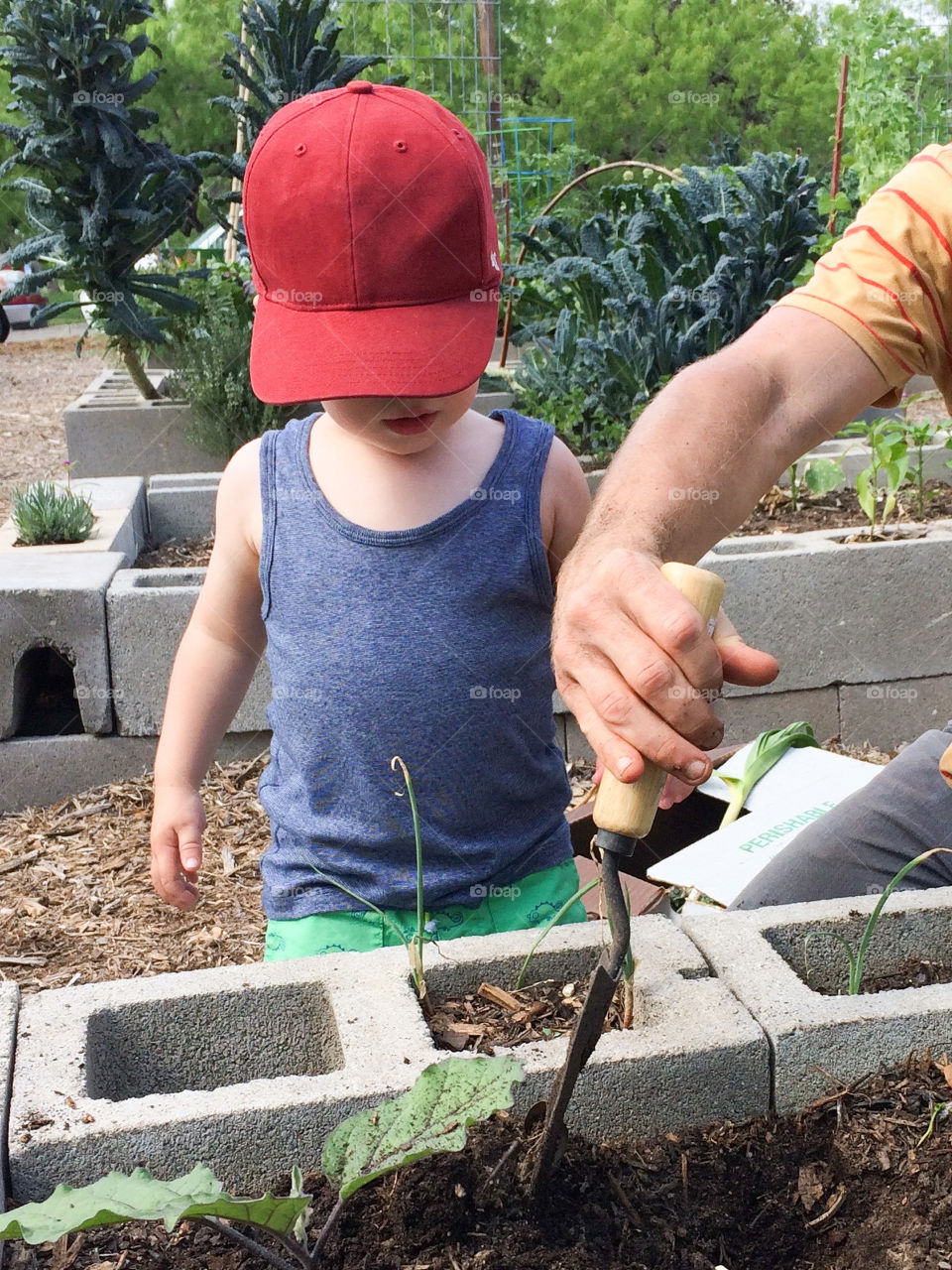 Helping garden