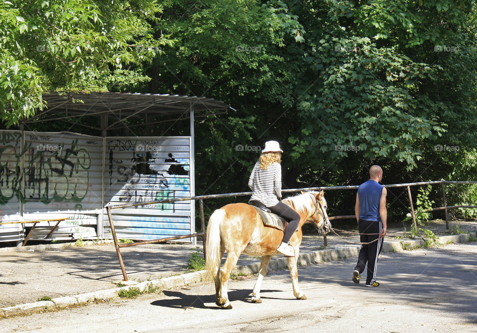 Horse riding on the street