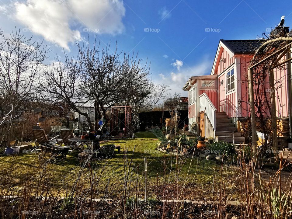 Pink cottage with garden at spring time