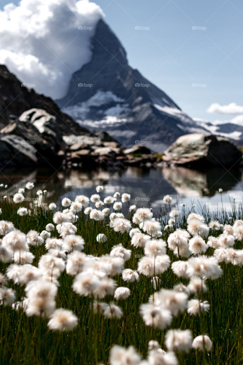 Landscape del monte Cervino / Matterhorn para fondo de pantalla móvil. Turismo los Alpes.