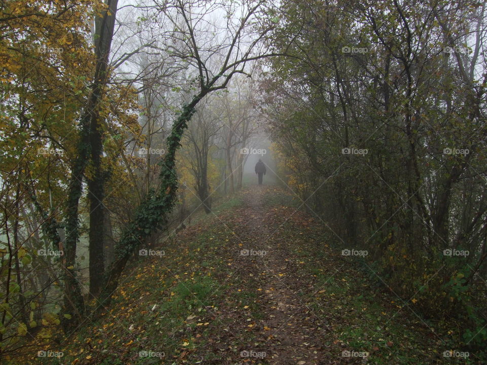 fall along the bank of the creek